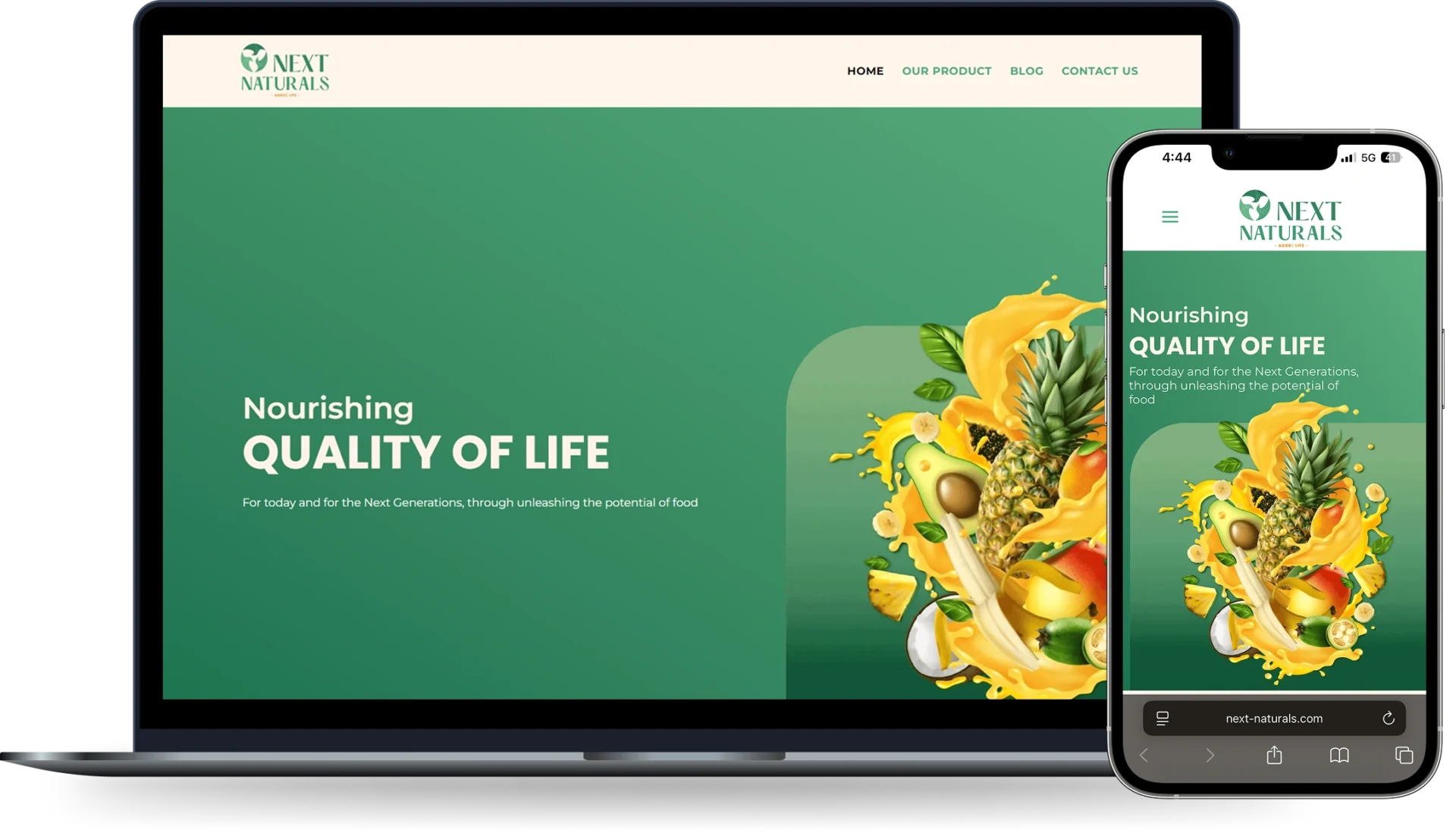 Website Development for Fruit Pulp & Food Processing in Ahmedabad – Next Naturals
