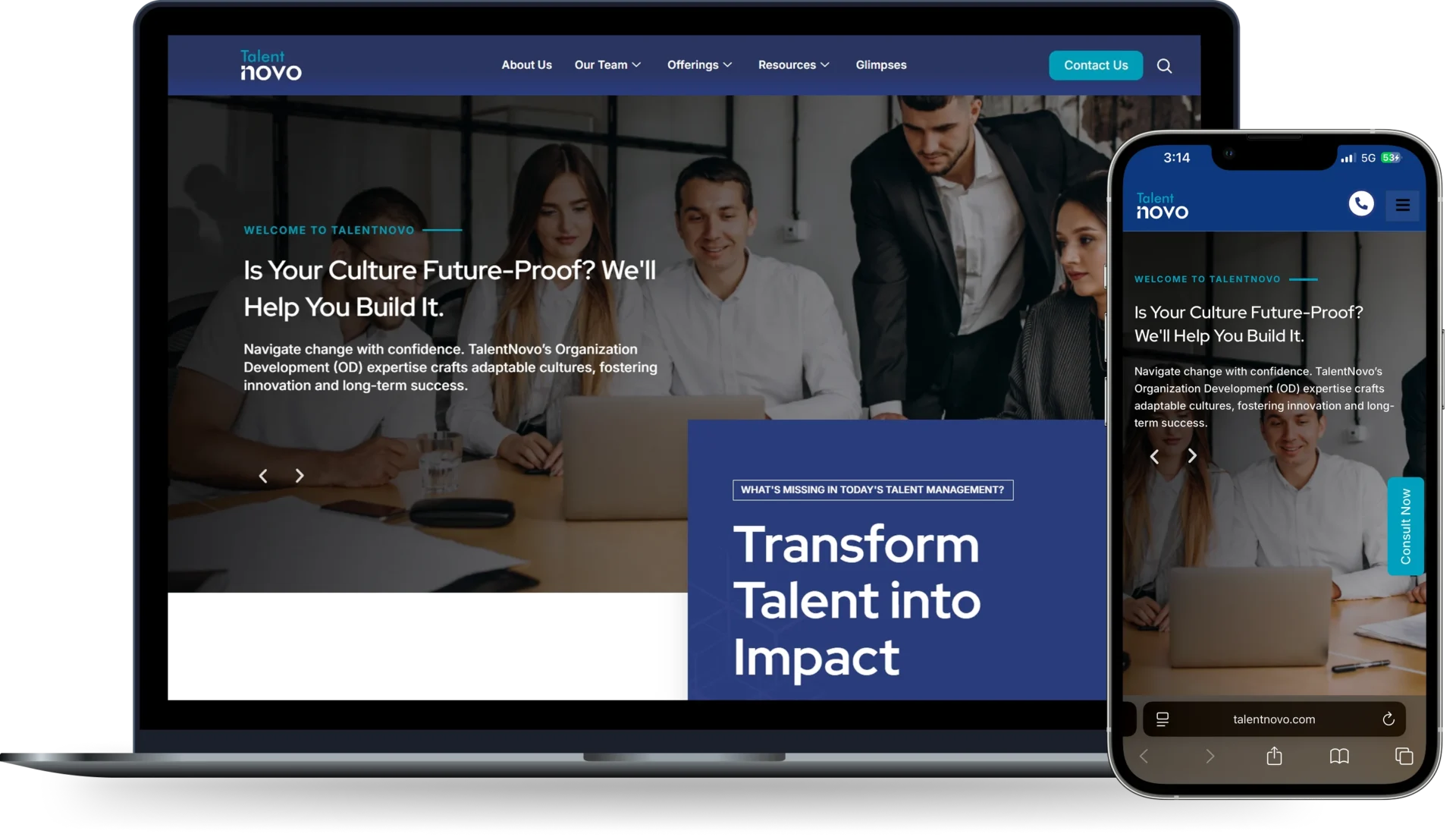 Website Development for Talent Management & Organization Development in Pune